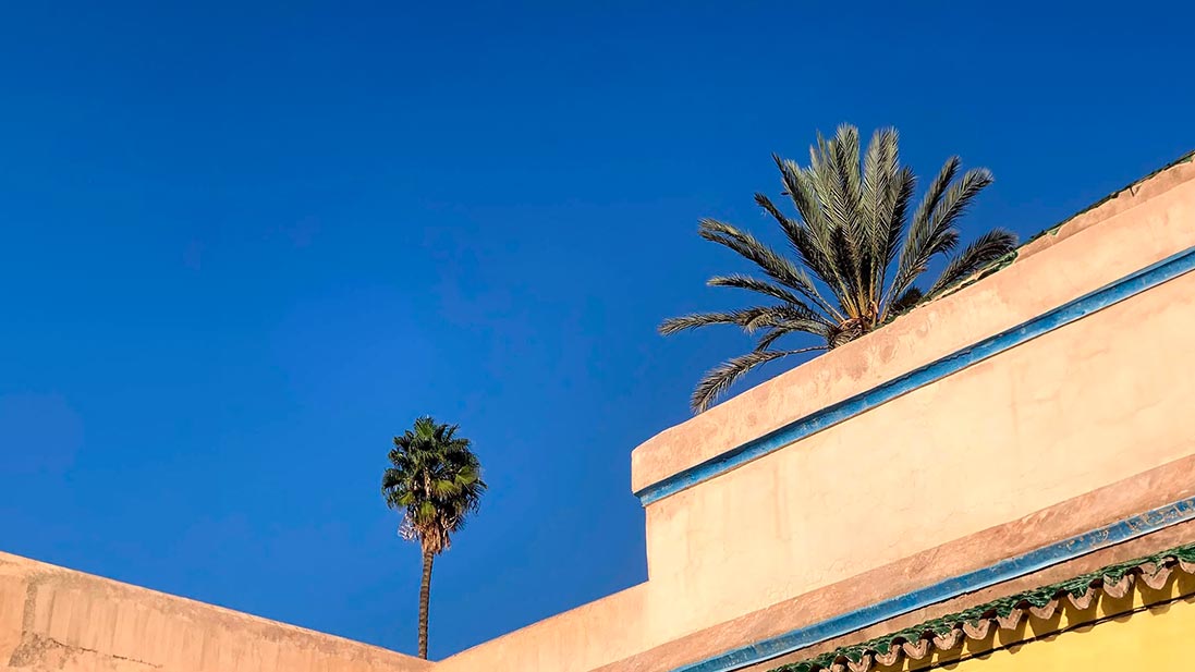 Dettaglio di un'architettura mediterranea con mura beige e accenti blu, affiancata da palme verdi, sotto un cielo azzurro luminoso.